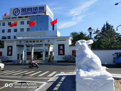 杭州蕭山萬向橋漢白玉欄桿工程